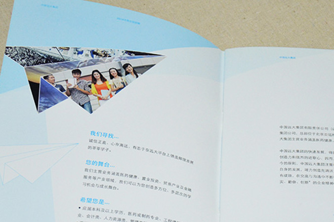 中国远大集团 画册设计 宣传册设计 北京彩页设计 logo设计 商标设计 标志设计 企业logo设计 VI设计 VI设计公司 品牌设计 品牌设计公司
