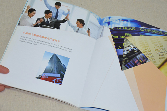 中国远大集团 画册设计 宣传册设计 北京彩页设计 logo设计 商标设计 标志设计 企业logo设计 VI设计 VI设计公司 品牌设计 品牌设计公司